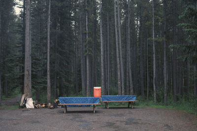 Empty bench in forest