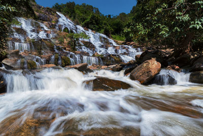 Scenic view of waterfall in forest