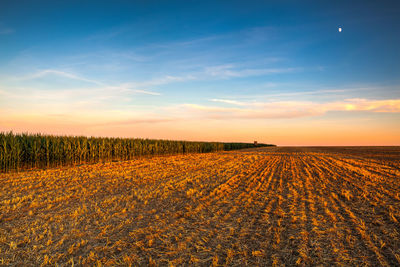 Scenic view of field against sky during sunset