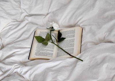 High angle view of plant and book on bed