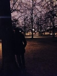 Bare trees in park