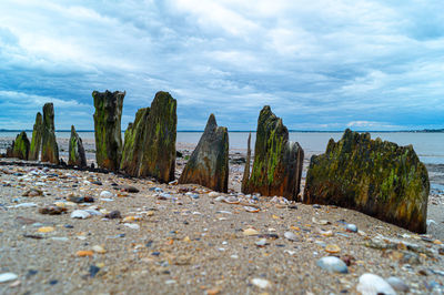 Old ship beams in sand on beach ship wreck