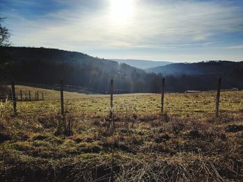 Scenic view of field against sky