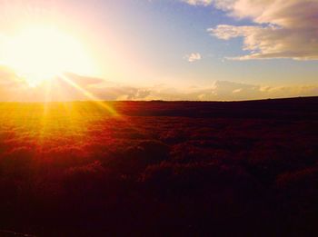 Scenic view of field against sky during sunset