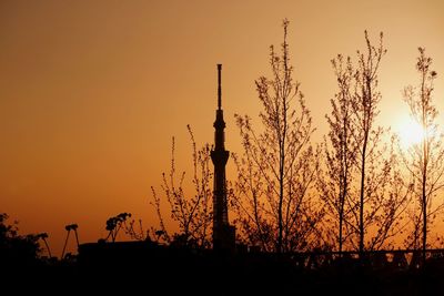 Silhouette of trees at sunset