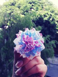 Close-up of hand holding purple flower