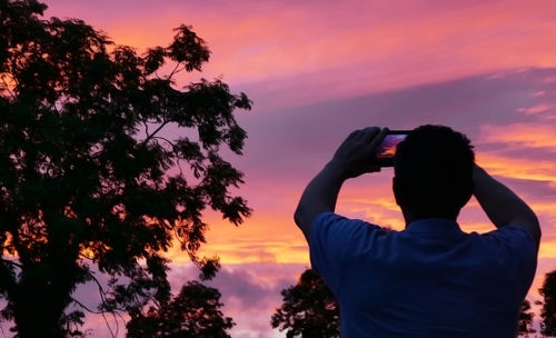 Silhouette of trees at sunset