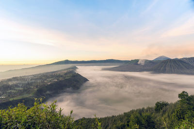 Scenic view of landscape against sky