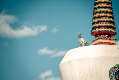 Low angle view of seagull perching on building against sky