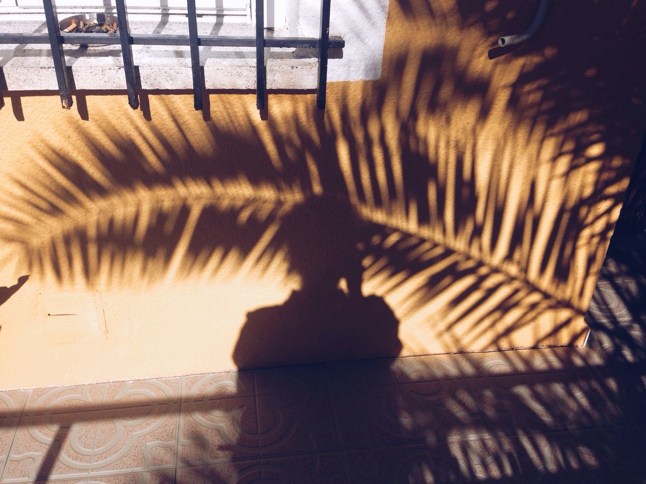 shadow, silhouette, sunlight, indoors, water, high angle view, reflection, sitting, relaxation, railing, full length, standing, focus on shadow, rear view, lifestyles, men, walking, unrecognizable person
