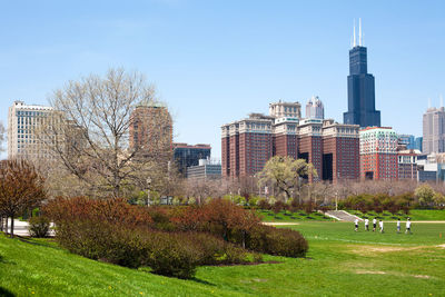 Trees and buildings against sky