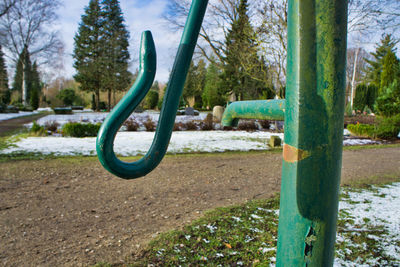 Trees in park