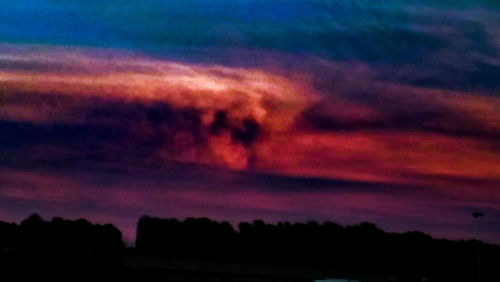 Silhouette of trees against dramatic sky