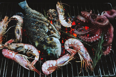 High angle view of fish on barbecue grill