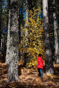 Rear view of woman walking in forest