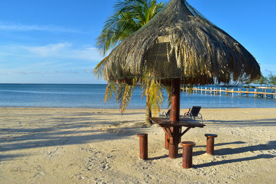 Palm trees on beach against sky