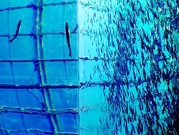 Close-up of water against blue sky