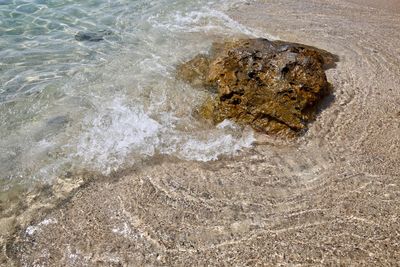 High angle view of rock in sea