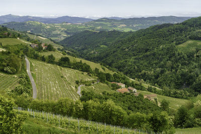 Scenic view of green landscape and mountains against sky