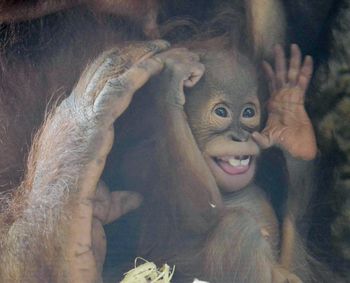 Close-up portrait of young man