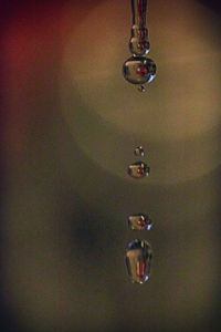 Close-up of water drop