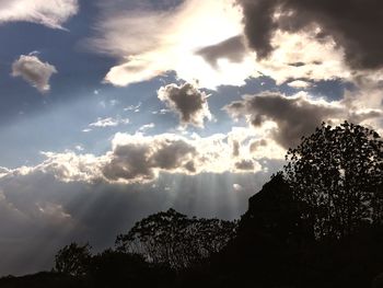 Low angle view of trees against sky