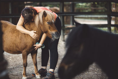 Close-up of horse in ranch