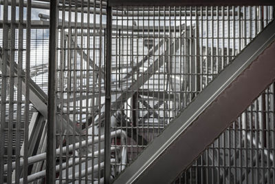 Close-up of bird in cage