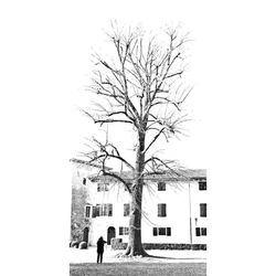 People walking by bare tree against clear sky