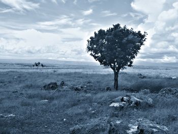 Scenic view of landscape against cloudy sky