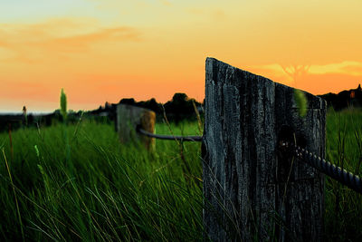 Scenic view of grassy field against sky at sunset