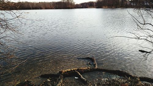 High angle view of a lake