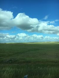 Scenic view of field against sky