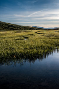 Reflektion at lake høvringsvatne, høvringen, norway