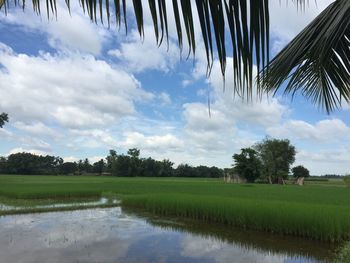 Scenic view of lake against sky