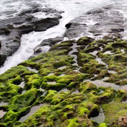 Rocks in sea