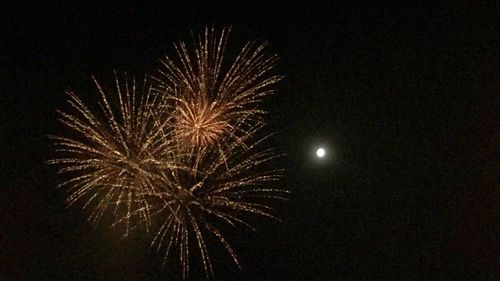 Low angle view of firework display at night