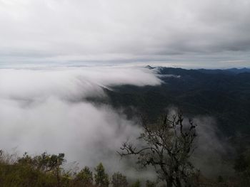 Scenic view of tree mountains against sky