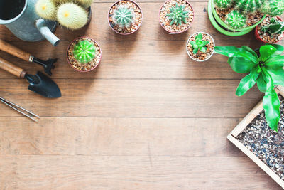 High angle view of vegetables on table