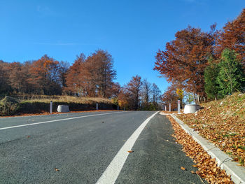 Surface level of empty road along trees