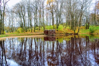 Reflection of trees in lake