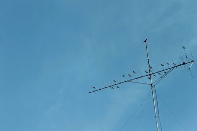 Low angle view of birds on cable against sky