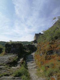 Footpath amidst plants against sky