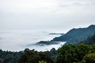 Scenic view of trees and mountains against sky