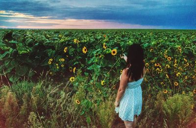 Plants growing on field against sky