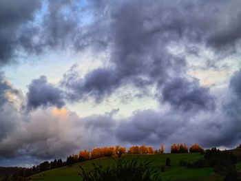 Panoramic shot of trees on field against cloudy sky