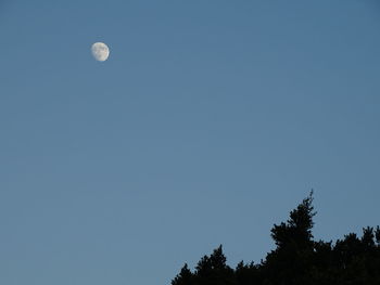 Low angle view of moon against clear blue sky