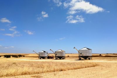 Scenic view of agricultural field against blue sky