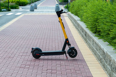 Low section of man riding push scooter on road