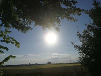 Scenic view of field against bright sun